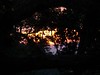 Jerry Hughes (agbr) > Sunset in the jungle