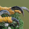 Jerry Hughes (agbr) > Folkestone photo