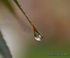 Jerry Hughes (agbr) > OLYMPUS DIGITAL CAMERA
