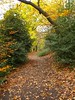 Jerry Hughes (agbr) > Wet October photo