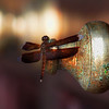 A chance sighting on a doorknob  (Sri Mariaman temple)